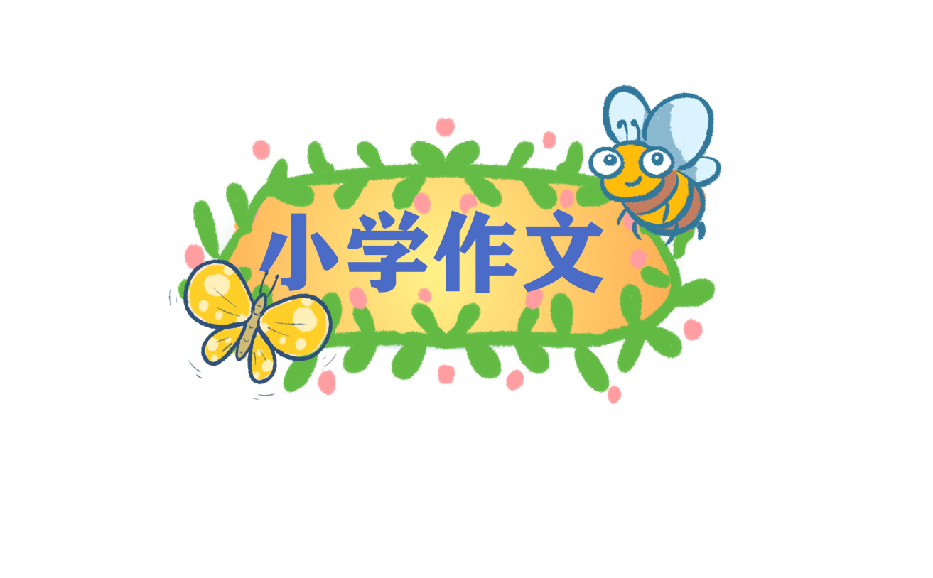 总结心得体会小学