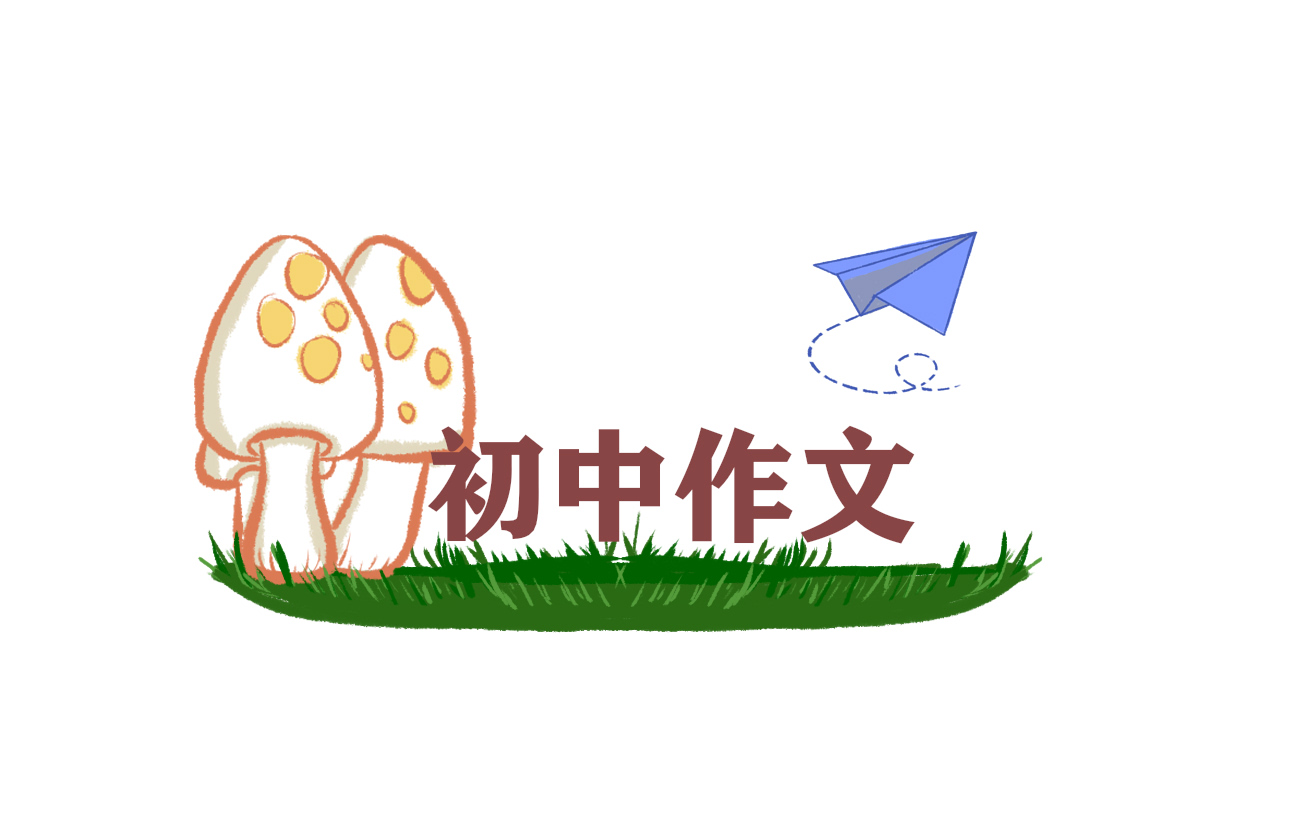 初中自我介绍500字