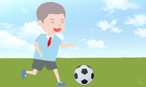心得体会小学生250字