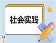 实践心得的作文500字