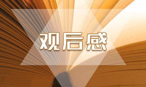 2022关于书香之夜的观后感