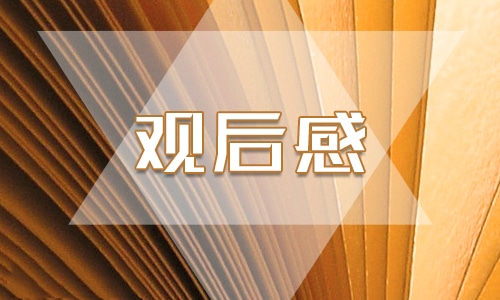 电影《情书》观后感心得600字最新