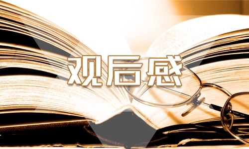 心得体会观后感250字左右