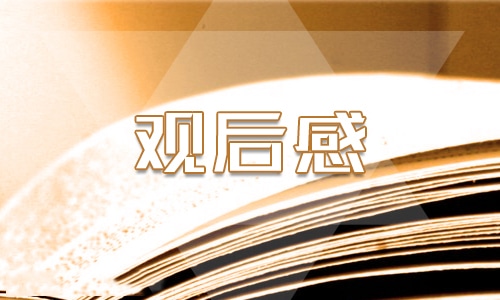 初中生观看孔子心得体会