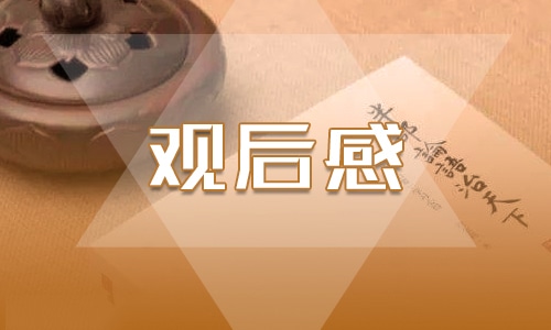 2022书香之夜的观后感大全