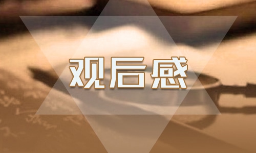 2022书香之夜的观后感范文