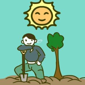 植树节的总结怎么写